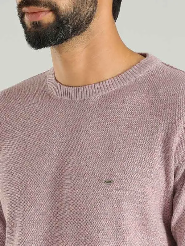 Men Solid Full Sleeve Crew Neck Sweater