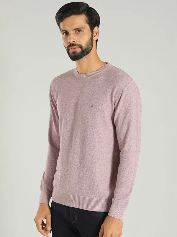 Men Solid Full Sleeve Crew Neck Sweater