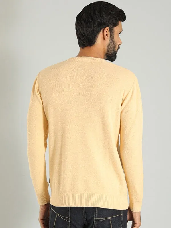 Men Solid Full Sleeve Crew Neck Sweater