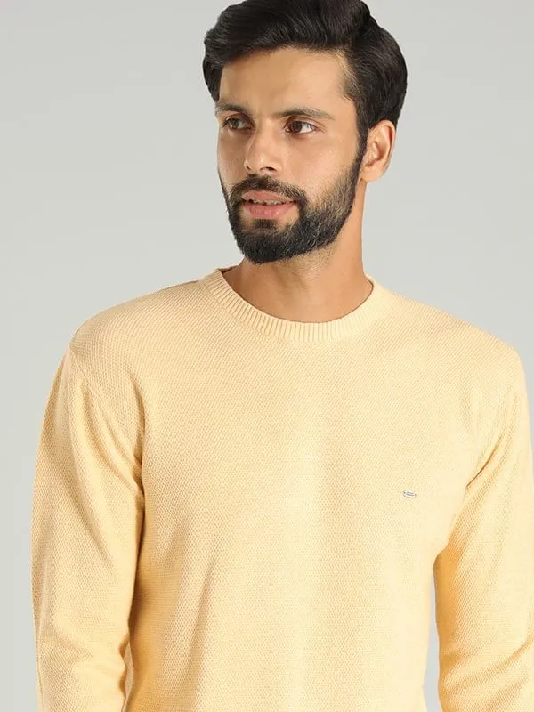 Men Solid Full Sleeve Crew Neck Sweater