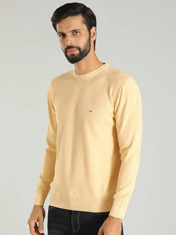 Men Solid Full Sleeve Crew Neck Sweater