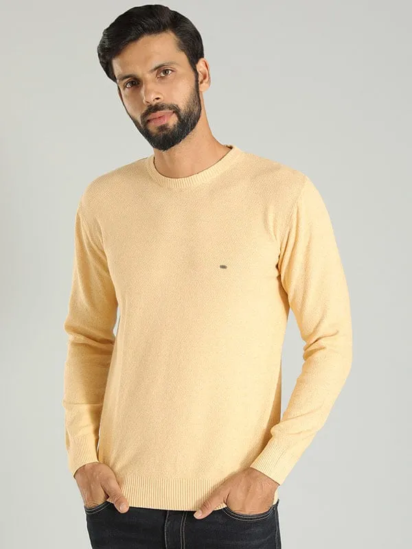 Men Solid Full Sleeve Crew Neck Sweater